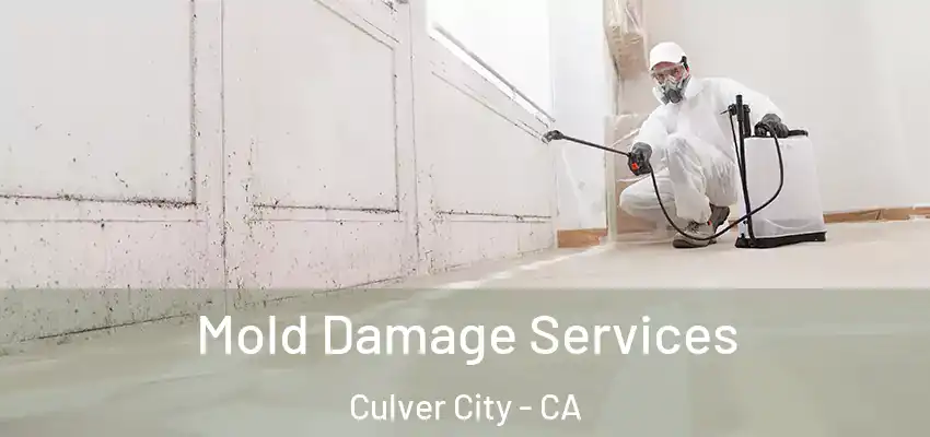  Mold Damage Services Culver City - CA