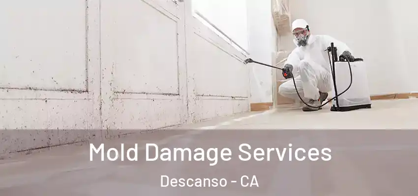  Mold Damage Services Descanso - CA