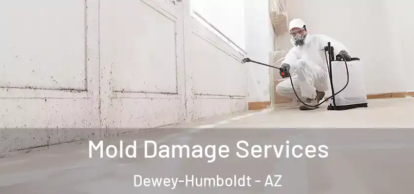  Mold Damage Services Dewey-Humboldt - AZ