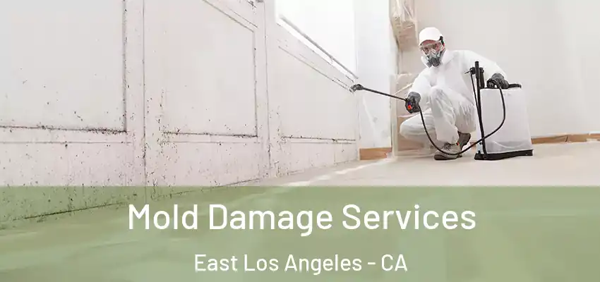  Mold Damage Services East Los Angeles - CA
