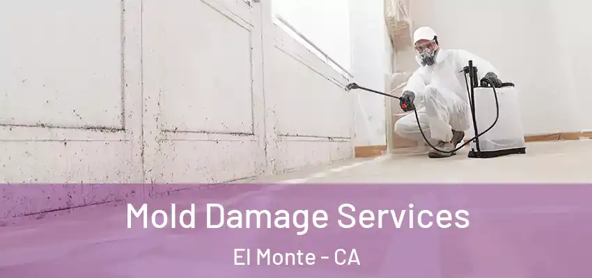  Mold Damage Services El Monte - CA