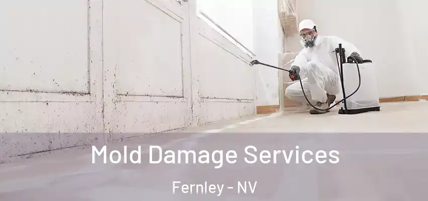  Mold Damage Services Fernley - NV