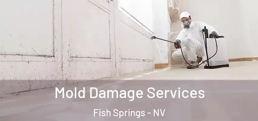 Mold Damage Services Fish Springs - NV