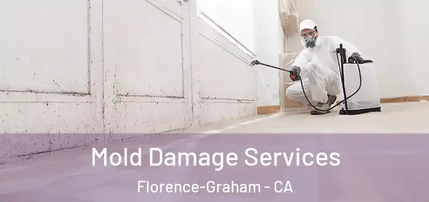  Mold Damage Services Florence-Graham - CA