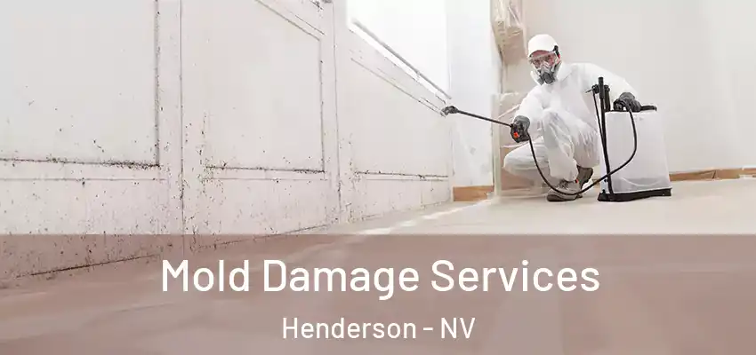  Mold Damage Services Henderson - NV