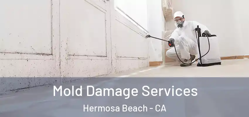  Mold Damage Services Hermosa Beach - CA