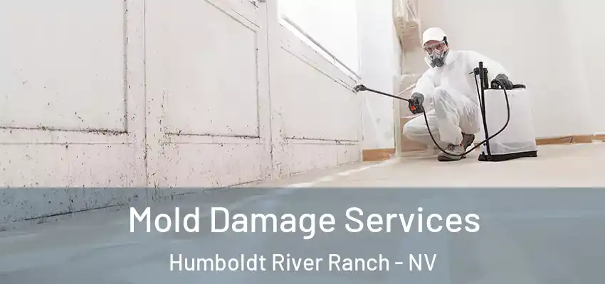 Mold Damage Services Humboldt River Ranch - NV