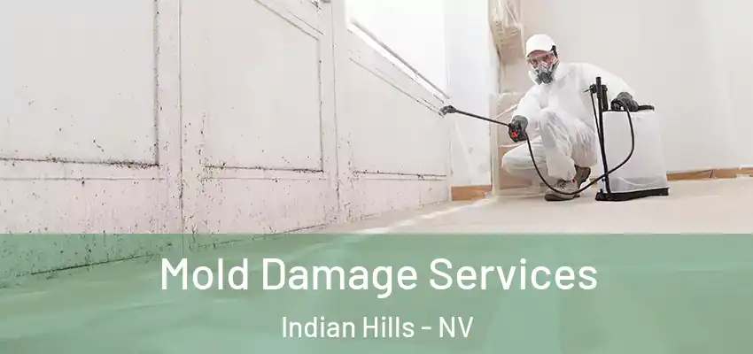 Mold Damage Services Indian Hills - NV