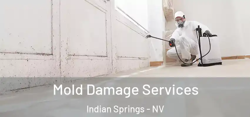  Mold Damage Services Indian Springs - NV