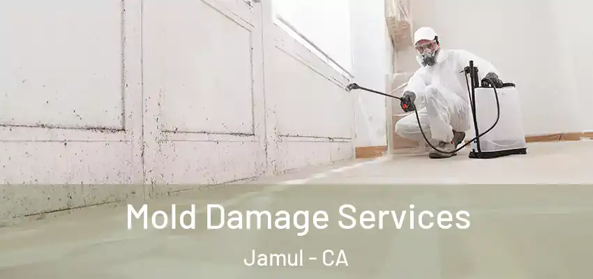  Mold Damage Services Jamul - CA