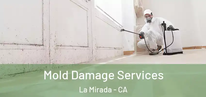Mold Damage Services La Mirada - CA