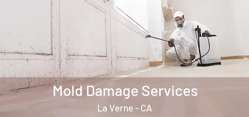 Mold Damage Services La Verne - CA
