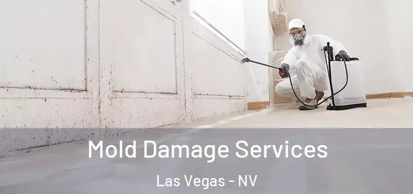  Mold Damage Services Las Vegas - NV