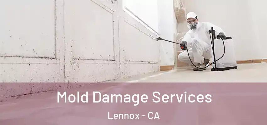  Mold Damage Services Lennox - CA