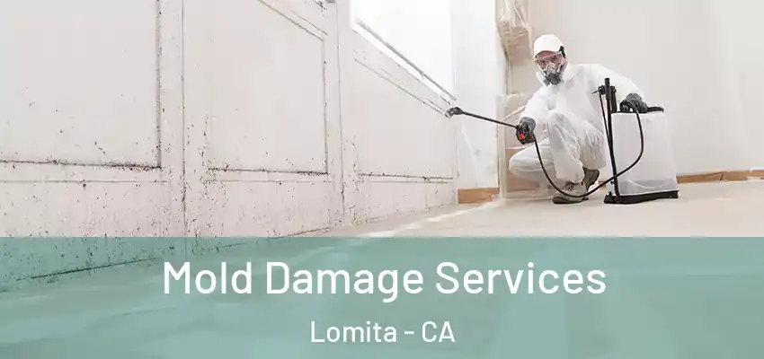 Mold Damage Services Lomita - CA