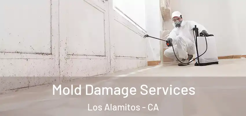  Mold Damage Services Los Alamitos - CA