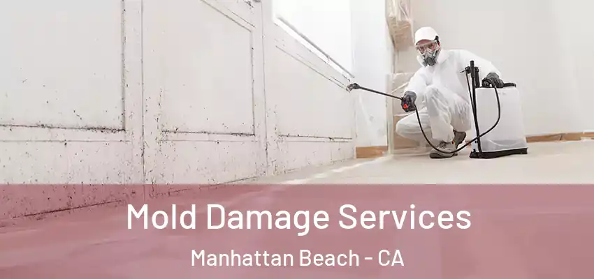 Mold Damage Services Manhattan Beach - CA