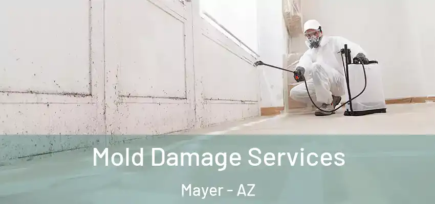  Mold Damage Services Mayer - AZ