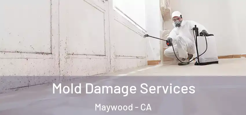  Mold Damage Services Maywood - CA