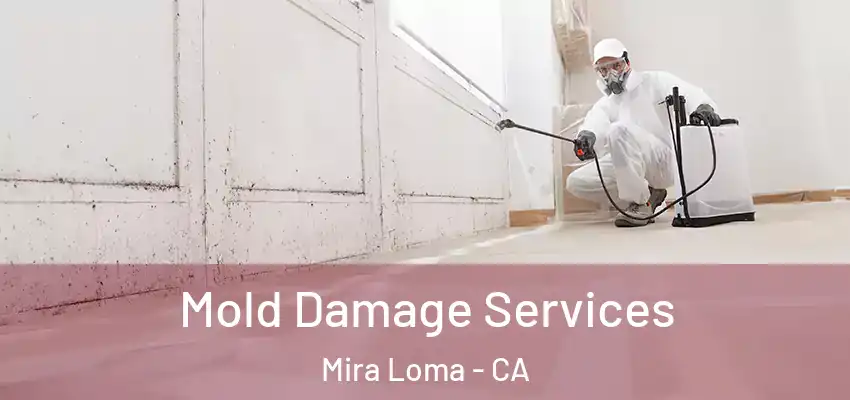 Mold Damage Services Mira Loma - CA
