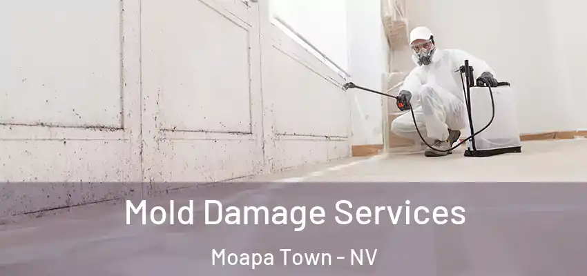  Mold Damage Services Moapa Town - NV