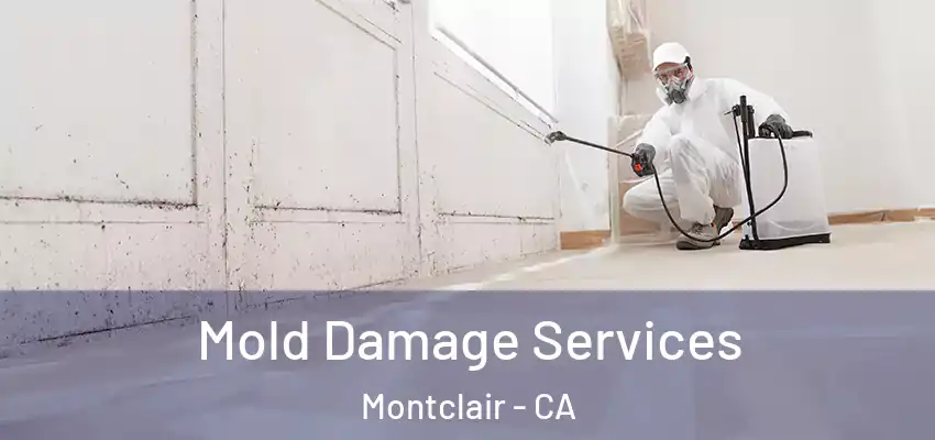  Mold Damage Services Montclair - CA