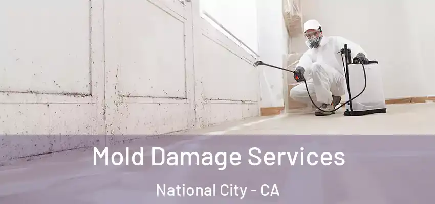  Mold Damage Services National City - CA