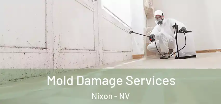  Mold Damage Services Nixon - NV