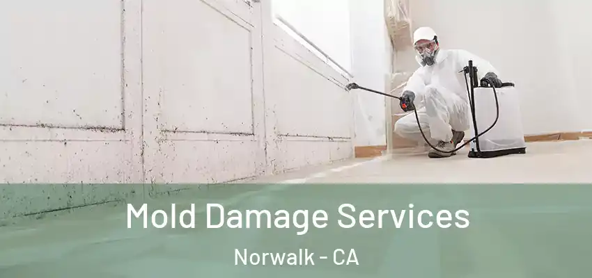Mold Damage Services Norwalk - CA