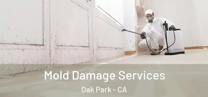 Mold Damage Services Oak Park - CA