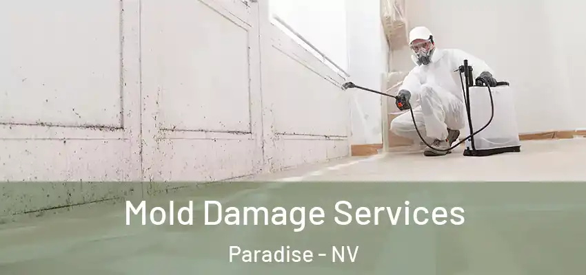  Mold Damage Services Paradise - NV