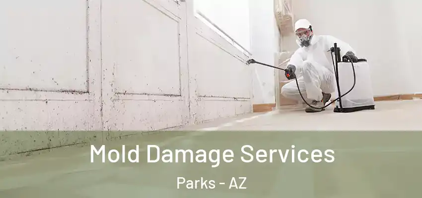  Mold Damage Services Parks - AZ