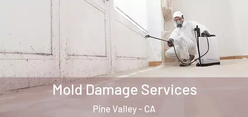  Mold Damage Services Pine Valley - CA