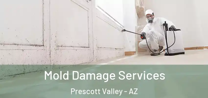  Mold Damage Services Prescott Valley - AZ