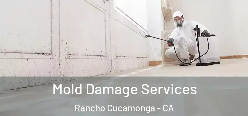 Mold Damage Services Rancho Cucamonga - CA