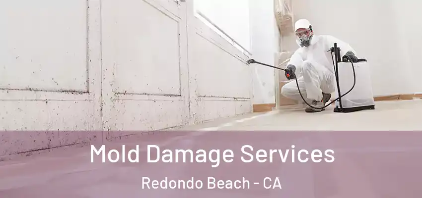 Mold Damage Services Redondo Beach - CA
