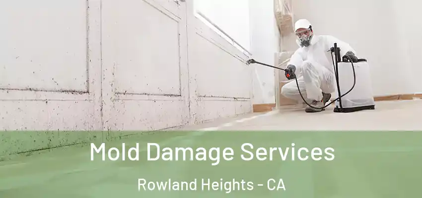  Mold Damage Services Rowland Heights - CA