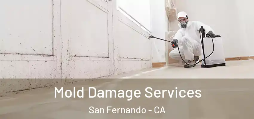  Mold Damage Services San Fernando - CA