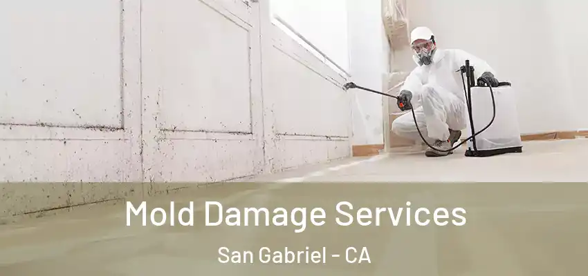  Mold Damage Services San Gabriel - CA