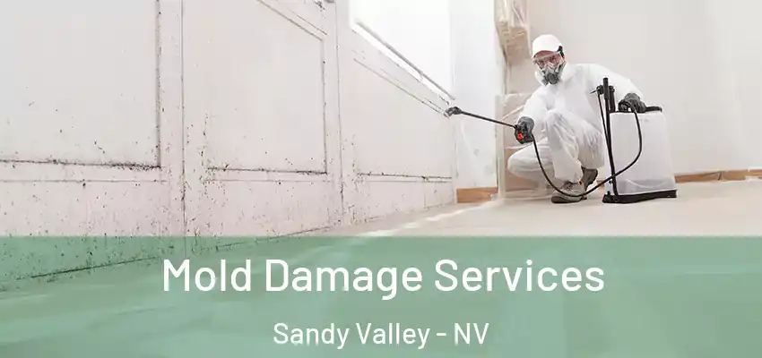 Mold Damage Services Sandy Valley - NV