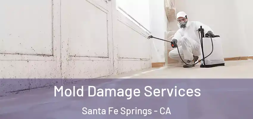  Mold Damage Services Santa Fe Springs - CA