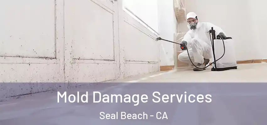  Mold Damage Services Seal Beach - CA