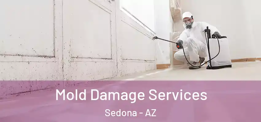  Mold Damage Services Sedona - AZ