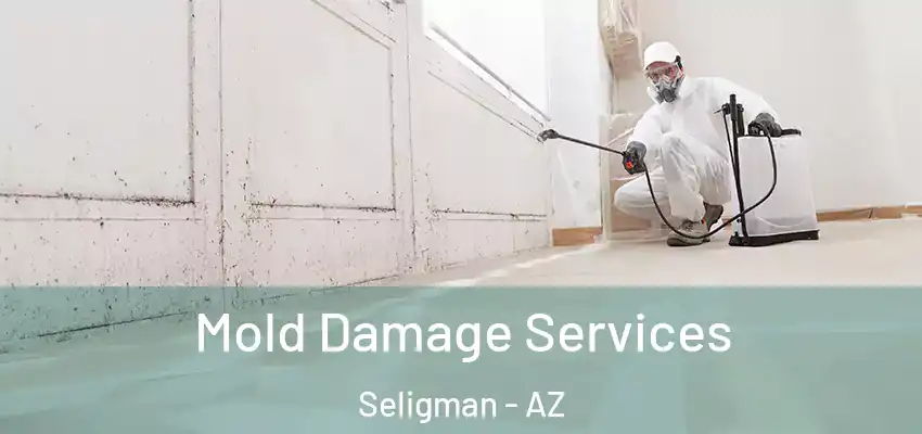  Mold Damage Services Seligman - AZ