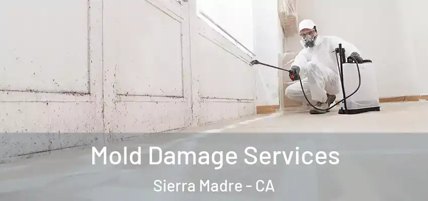 Mold Damage Services Sierra Madre - CA