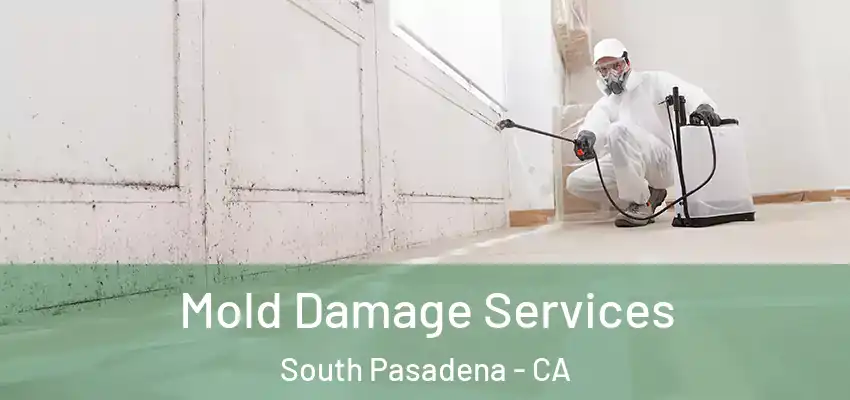 Mold Damage Services South Pasadena - CA