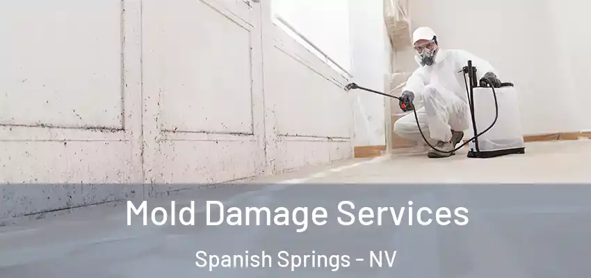  Mold Damage Services Spanish Springs - NV