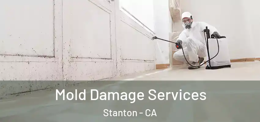  Mold Damage Services Stanton - CA
