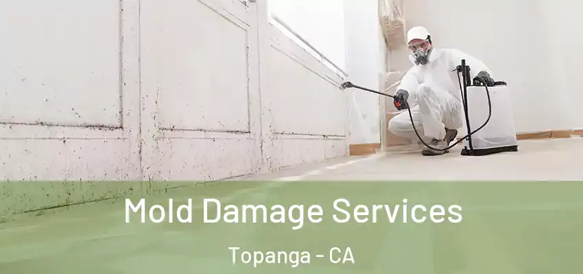 Mold Damage Services Topanga - CA