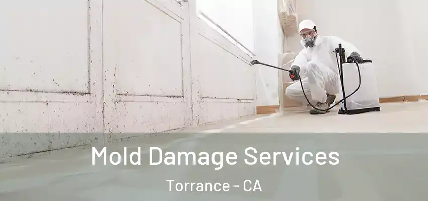 Mold Damage Services Torrance - CA